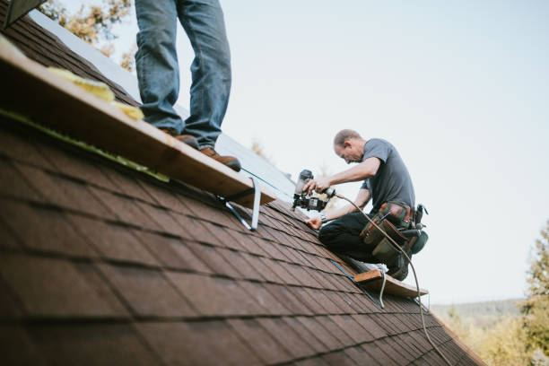 Best Roof Maintenance Services  in Squirrel Mountain Valley, CA